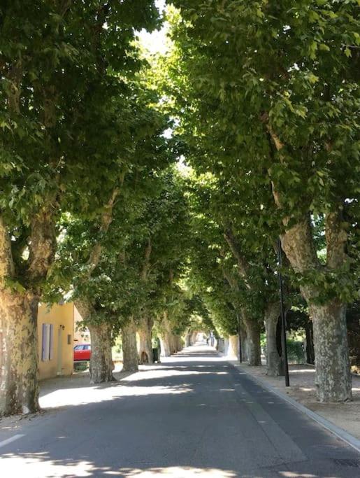 Entre Ventoux Et Luberon, Appartement Dans Maison. Malemort-du-Comtat Extérieur photo